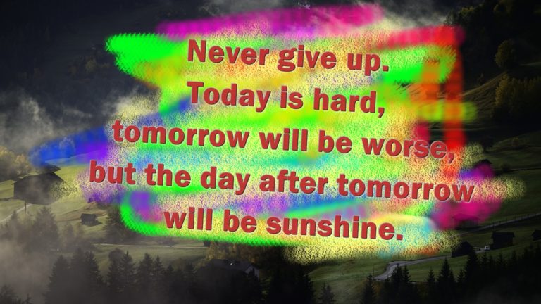 There is no substitute for hard work. Never give up. Never stop believing. Never stop fighting